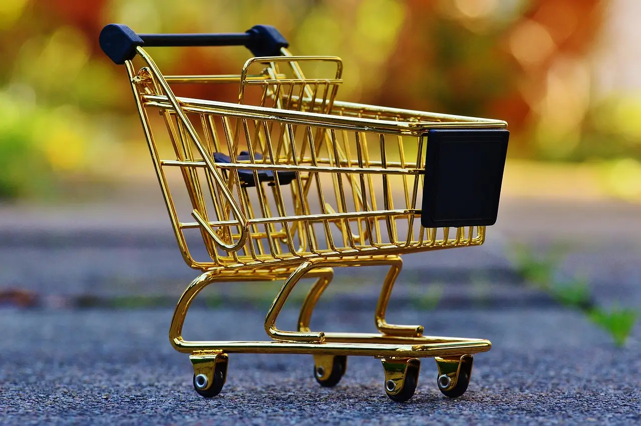Top Tips for Saving Money on International Shopping