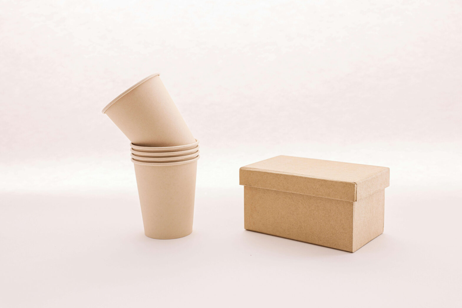 The Future of Biodegradable Materials in Everyday Products